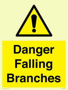 Danger Falling Branches